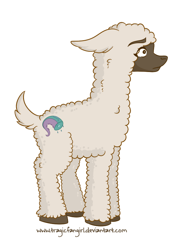 llama