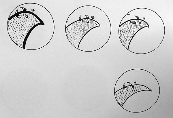 14 jan 2018 pattern book 1