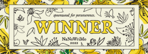 NaNoWriMo – 2022